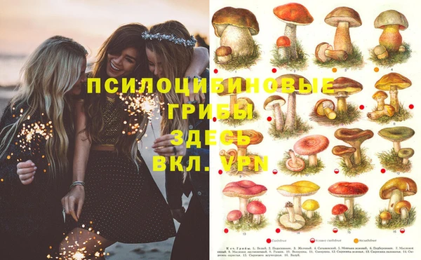 меф Белоозёрский