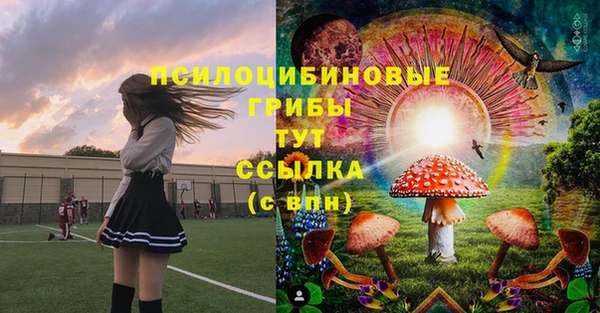 дмт Белокуриха